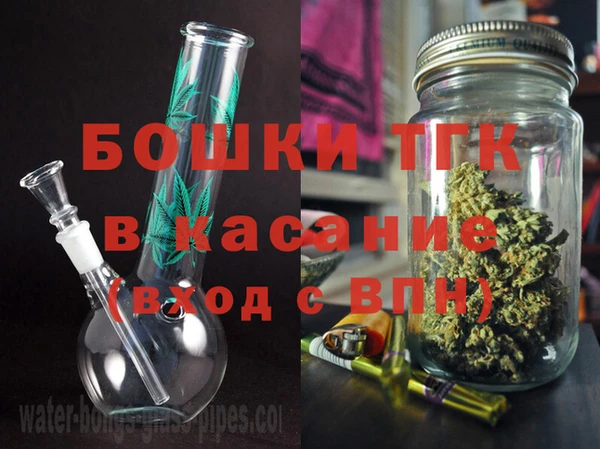 гашик Алексеевка