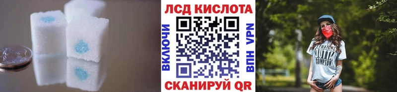 дарнет шоп  Горбатов  Лсд 25 экстази кислота 