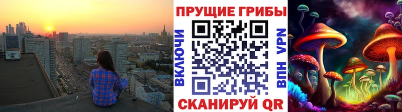 Псилоцибиновые грибы MAGIC MUSHROOMS  сколько стоит  Горбатов 